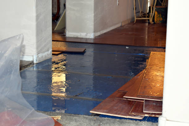 Professional Burst Pipe Cleanup technician working in Brook Park, MN